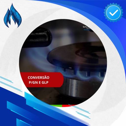 Conversão p/gás natural ou gás LP