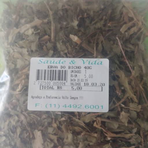 Erva do bicho por Saúde e Vida