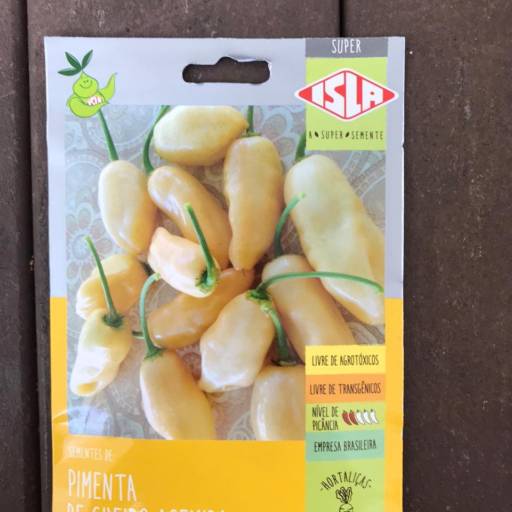 semente pimenta de cheiro  em Botucatu, SP por Botucatu Garden