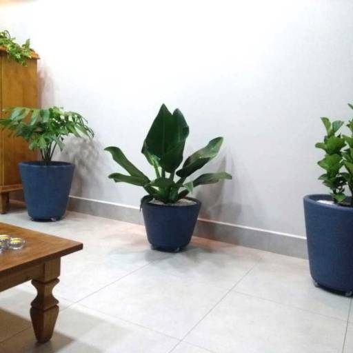 Vasos para Plantas em Bauru por Mais Verde Jardins