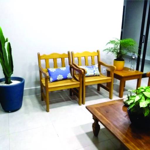 Vasos para Plantas em Bauru por Mais Verde Jardins