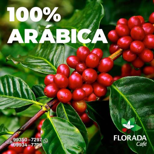 Comprar o produto de Café Arábica  em Cafeterias pela empresa Florada Café em Americana, SP por Solutudo