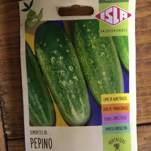 Comprar o produto de semente pepino caipira  em A Classificar pela empresa Botucatu Garden em Botucatu, SP por Solutudo