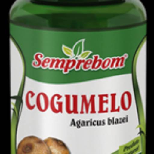 COGUMELO DO SOL - 400MG - 90 CAPSULAS em Aracaju, SE por Natus Produtos Naturais