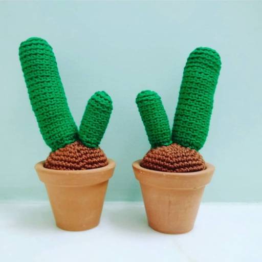 Cacto por Artesanato da Claudinha 