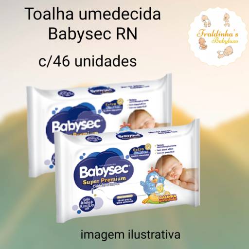 Comprar o produto de Toalha umedecida Babysec RN com 46 unidades CONSULTE TAXA DE ENTREGA em A Classificar pela empresa Fraldinha’s Babyluxo em Bauru, SP por Solutudo