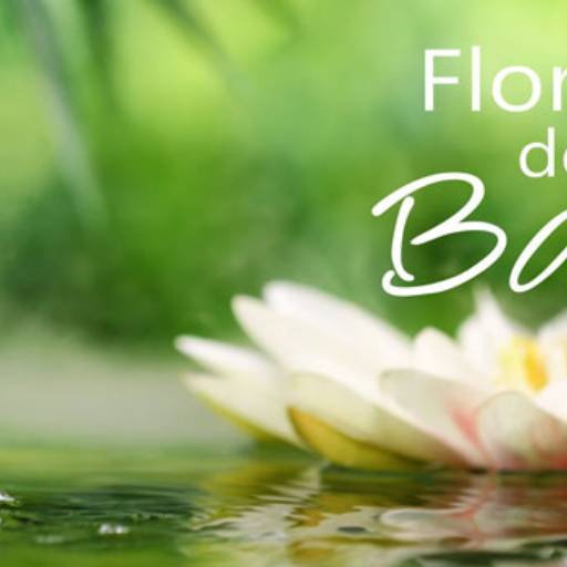 Florais por Viva Bem Espaço Holístico