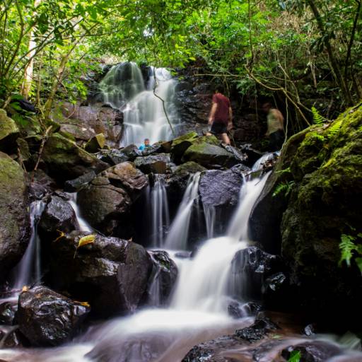 Comprar o produto de Pacote infantil meio dia nas cachoeiras secretas (preço promocional locais) em Viagens e Turismo pela empresa Iguassu Secret Falls em Foz do Iguaçu, PR por Solutudo