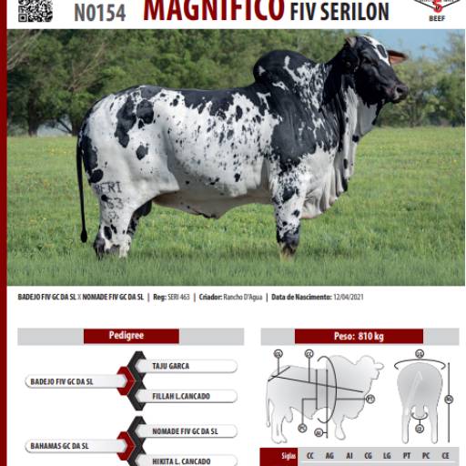 Touro Nelore Pintado Magnífico FIV Serilon (N0154)