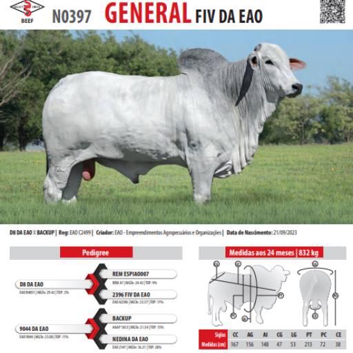 Touro Nelore General FIV da EAO (N0397)
