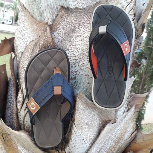 Chinelo Cartago 