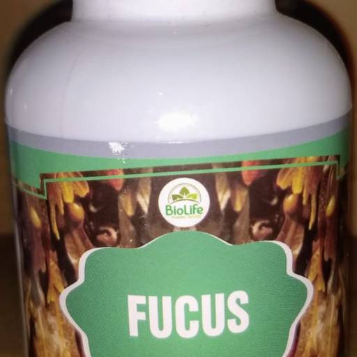 Comprar o produto de FUCUS 100 CAP em Suplementos Alimentares pela empresa Natus Produtos Naturais em Aracaju, SE por Solutudo