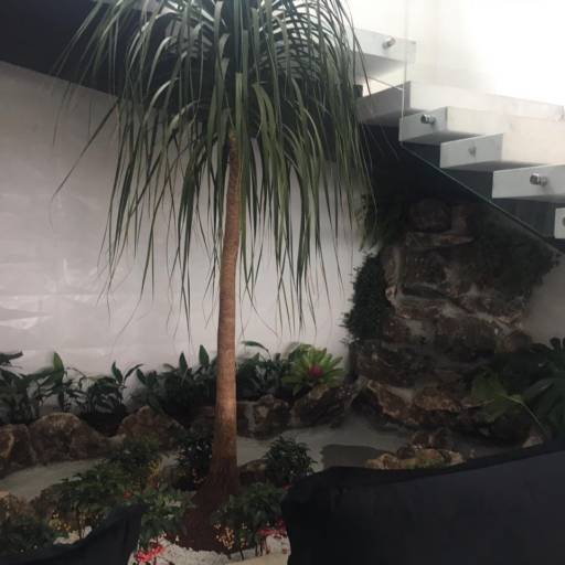 Formação de Cascatas Naturais por Gaaga Paisagismo Atibaia