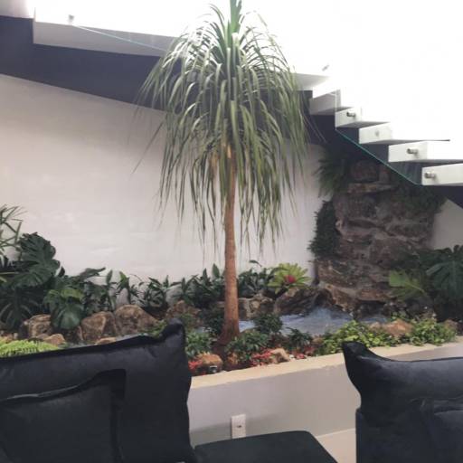 Formação de Cascatas Naturais por Gaaga Paisagismo Atibaia