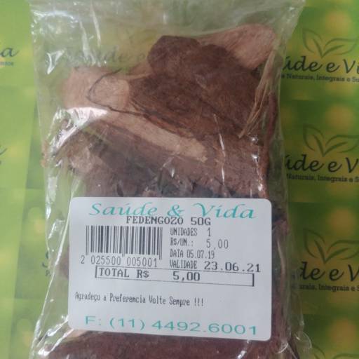 Fedengozo por Saúde e Vida