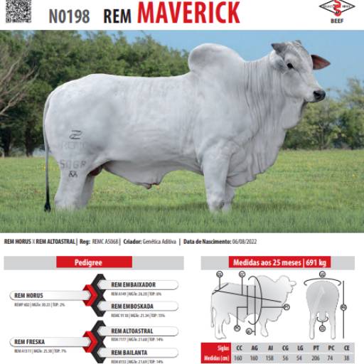 Touro Nelore Rem Maverick (N0198)