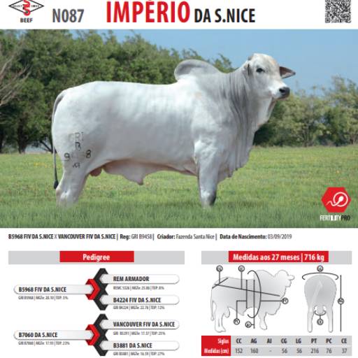 Touro Nelore Imperio da S. Nice (N087)