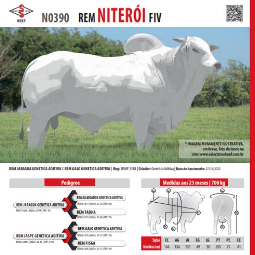 Touro Nelore Rem Niterói FIV (N0390)