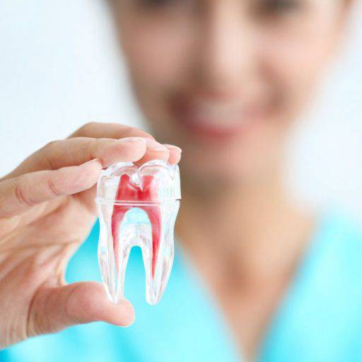 Comprar o produto de Endodontia em Especialidades pela empresa CIOF Odontologia • Dentista em Atibaia em Atibaia, SP por Solutudo