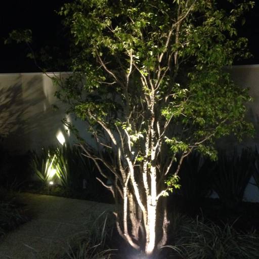 Embutido Solo Externo por Carol Lustres