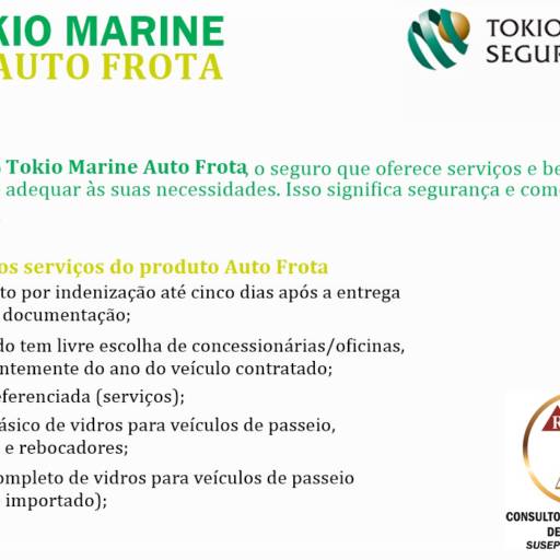 Tokio Marine Auto Frota