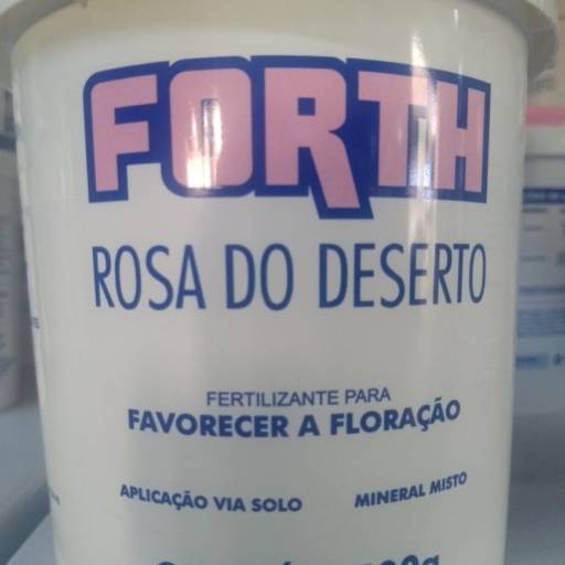 Comprar o produto de Forth Rosa Do Deserto  em A Classificar pela empresa Botucatu Garden em Botucatu, SP por Solutudo