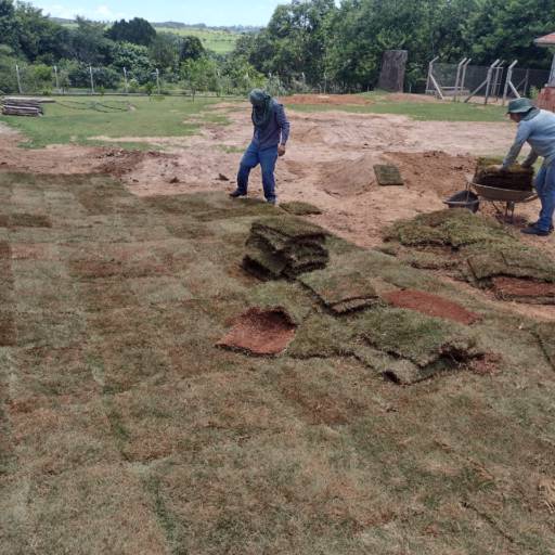 Plantio de todo tipo de plantas e gramas  em Botucatu, SP por 3 Verde Jardinagem