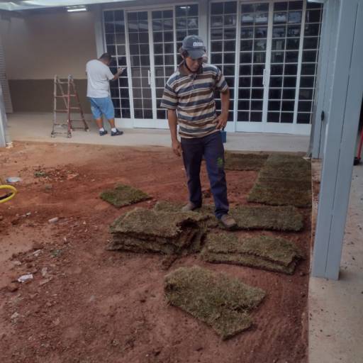 Plantio de todo tipo de plantas e gramas  em Botucatu, SP por 3 Verde Jardinagem