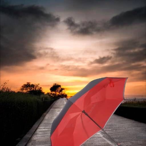 Guarda-Chuva Invertido