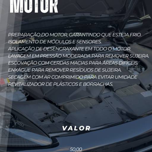 Limpeza de Motor em Lençóis Paulista – Segurança e Desempenho por Purgano stetic car