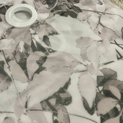 Cortina Delicada Cortilester em Osasco, SP por Madalena Decoraçoes