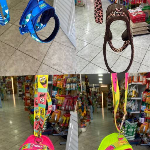 Coleira estilo peitoral