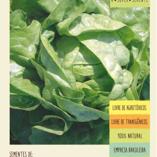 Comprar o produto de semente alface boston branca  em A Classificar pela empresa Botucatu Garden em Botucatu, SP por Solutudo