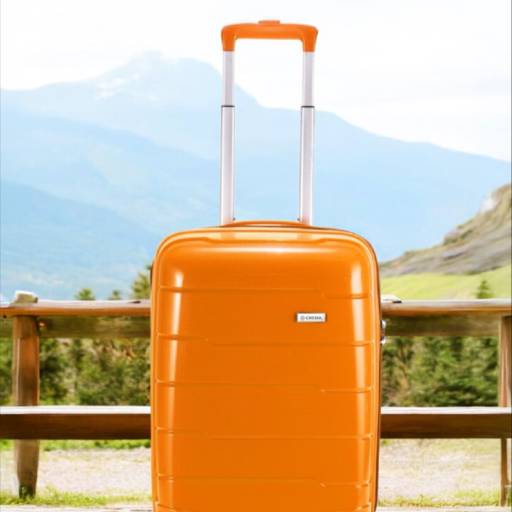 Bolsa Para Viagem