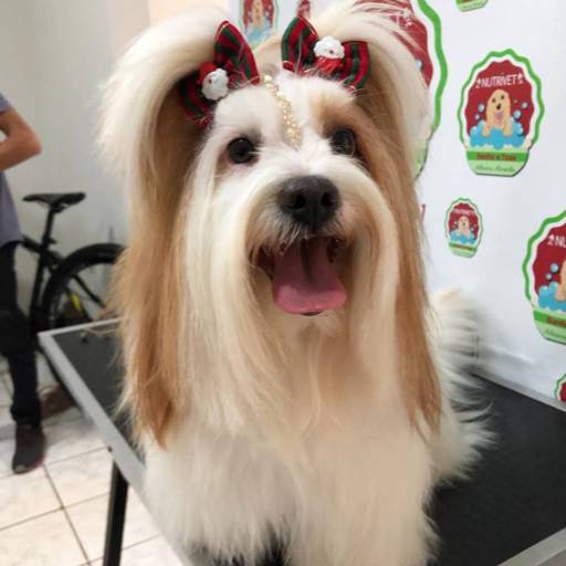 Banho e Tosa por Banho e Tosa Nutrivet