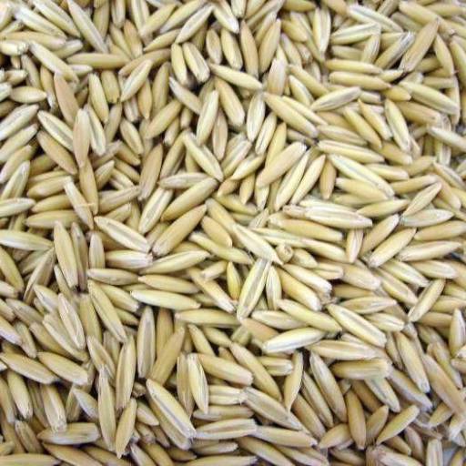 Aveia Descascada por Agropecuária Lukan Casa de Ração, Pet Shop, Produtos Veterinários e Agrícolas