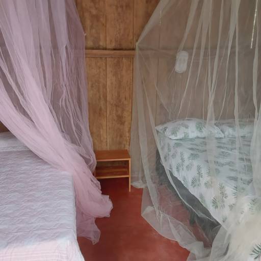 HOSPEDAGEM em Itacaré, BA por Sitio dos oriundos  HOSPEDAGEM em Itacaré, BA por Sitio dos oriundos