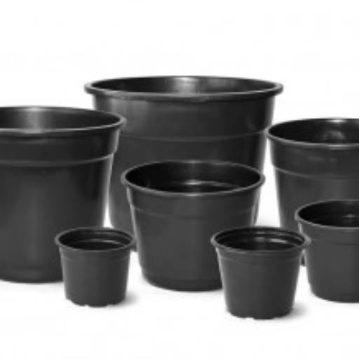 Vasos Nutriplan