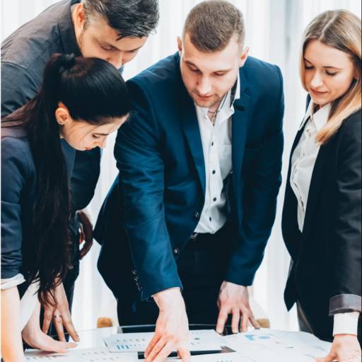 Imparcialidade no gerenciamento de projetos. 
Estratégia, portfólio, planejamento, monitoramento/controle, gestão de riscos.
Comunicação, integração e sincronismo entre equipe do projeto,  áreas internas, fornecedores e stakeholders.