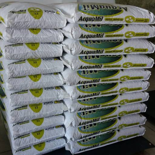 Comprar o produto de Racao peixe acquamil 25 Kg em A Classificar pela empresa Eldorado Agropecuária em Botucatu, SP por Solutudo