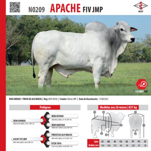 Touro Nelore Apache FIV JMP (N0209)