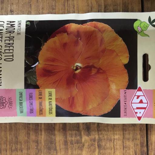 Comprar o produto de semente amor perfeito gigante laranja  em A Classificar pela empresa Botucatu Garden em Botucatu, SP por Solutudo