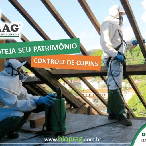 Bioprag Dedetizadora por Bioprag - Controle Integrado de Pragas Urbanas - Boituva