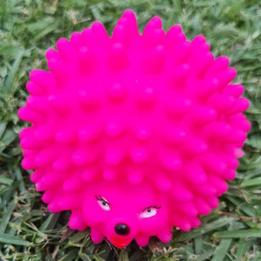 Mordedor Porco Espinho em Jundiaí, SP por Bella's boutique Pet