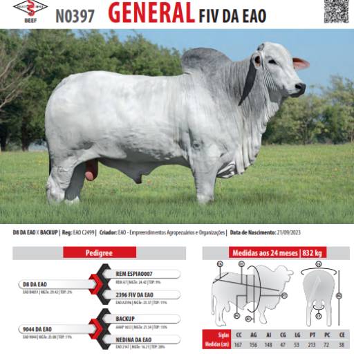 Touro Nelore General FIV da EAO (N0397)