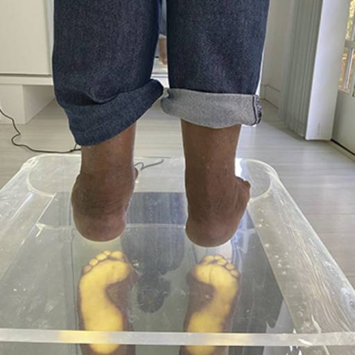 Avaliação da Distribuição da Pressão Plantar em Americana