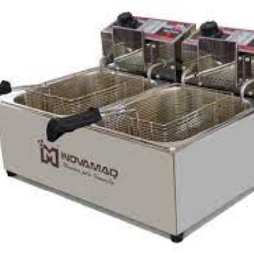 Fritadeira Elétrica Profissional - WSG Brasil