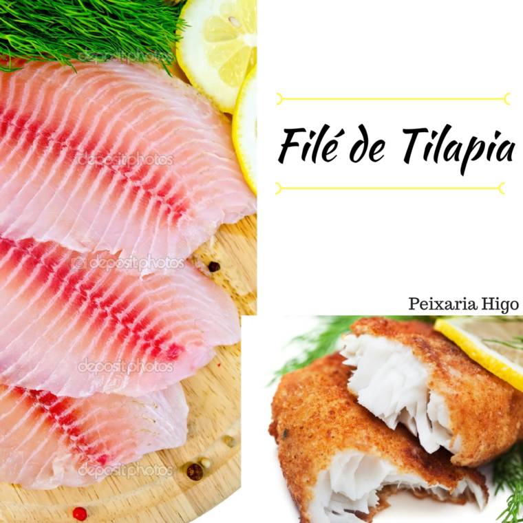 Filé de tilapia em Botucatu, SP | Classificados - Solutudo